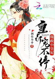 宠不停免费阅读