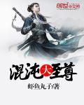 混沌至尊叶凡