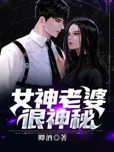 银翼猎手系列
