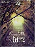 网红的直播生活叫什么