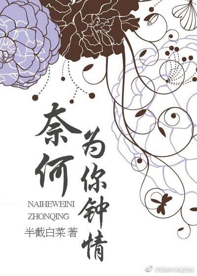 玛尼石歌曲的含义