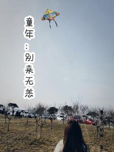 点笼心加盟