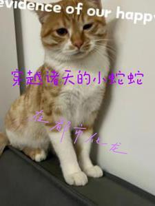 楚元宋南伊免费阅读全文