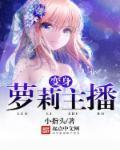 套路回放网页版
