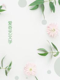 桃运妙手狂医叶凡百度