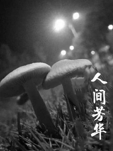 道岳独尊烂尾了