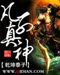 盲点辅助英文缩写